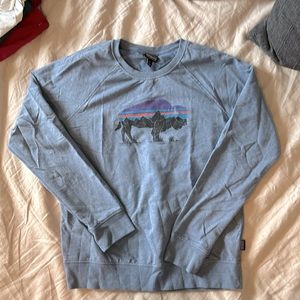 Patagonia light pullover sweatshirt, with buffalo